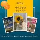 빌레리조트 | [제주]반려견동반 애월 가성비숙소::빌레리조트::내돈내산 솔직리뷰