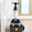 클린 드 플래르