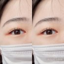 하비래쉬