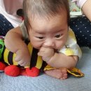 덕인떡집 | [육아일기]생후14주, 백일기념, 백일상차리기, 유모차시승, 카시트시승, 쥐는힘이생기다