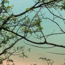 횡성 호수길 3구간 이미지