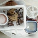 릴라밥집병영점 이미지