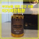 산소나무라이프 | [부모님선물추천] 소중한 분을 위한 품격 있는 선택, 아가파인침향 후기