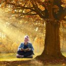 나무이야기 이미지