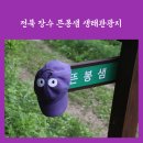 뜬봉샘 생태길 | 전북 장수 가볼만한곳 뜬봉샘 생태관광지 자작나무숲