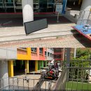 임진초등학교 이미지