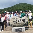 새마을 이미지