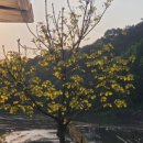 오동농장 이미지