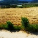 연흥농장 이미지