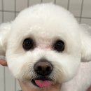 털로 덮인 친구들 서울 상도점 이미지