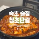 청초단길 | 속초 체스터톤스 근처 신상 감성술집 김치찜 맛집 청초단길