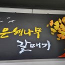 은행나무갈매기 이미지