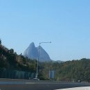 천연머리염색 이미지