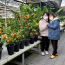 금샘농원 이미지