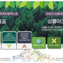 코지마강원총판 이미지