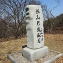 다을새길 이미지