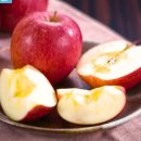 동일농원 | 청송사과 &#39;정담아농원 부사사과&#39; 택배 후기