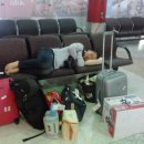 현규농장 이미지