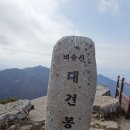 4/15[토]대구 비슬산+참꽃+대견사-(명산100)-산행안내/좌석표 이미지