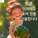 UN기념공원 Daum카페