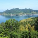 맹종죽순체험길 이미지