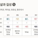 (주)네네여행 이미지