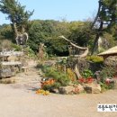 자연애 민박 이미지