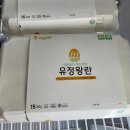 에그24 이미지