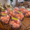 서내비치즈 이미지