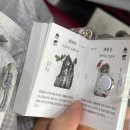 상모리-15 | [제주] 또 먹고싶은_픽업카페 명란소금빵, 우진해장국, 운화당 과일모찌