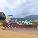 옥정 왕벚나무길 이미지