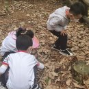 본아미어린이집 이미지