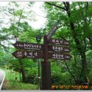 대야산자연휴양림 이미지