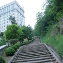 백석최고태권도 이미지
