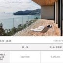 초석잠 석잠풀 효능 수확시기 초석잠 먹는법 차 가루 이미지