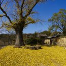 고산윤선도유적지 이미지