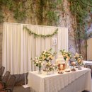 라벨라쿠치나 이미지