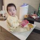 광복주방냉동 | 광복이 성장일기 8개월차 : 앞니 자람, 폭풍 기어다님, 밥솥이유식, 스플라스리솜, 첫 크리스마스