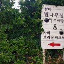 브라운피크닉 이미지