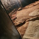 군포여성전용한증막 이미지