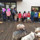 더바른태권도장 이미지