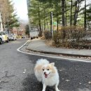 딥잉 산본점 이미지