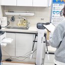 단샘유치원 이미지