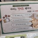 리버스스킨랩
