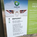 단비공원 | 올림픽공원 장미광장, 들꽃마루 후기! 5월 말 ~ 6월 초 까지가 피크입니다 :)