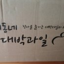 우리동네대박과일