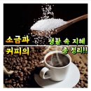 커피생활 이미지