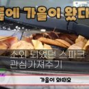 자인카센타 이미지