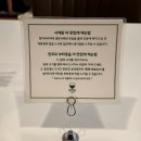 탄포포 | 청주 영동 성안길 맛집 '탄포포' 일식 부타동 솔직후기