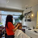 홍은설스타일리뷰 이미지